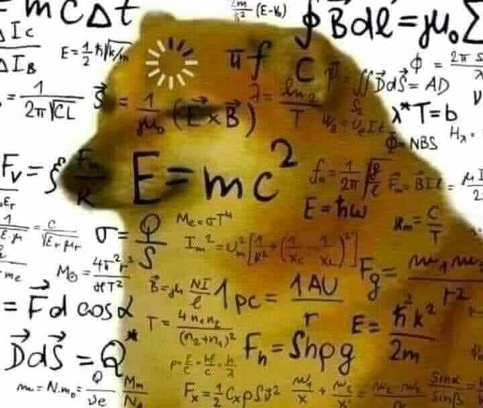 Chú chó Shiba meme cực hài