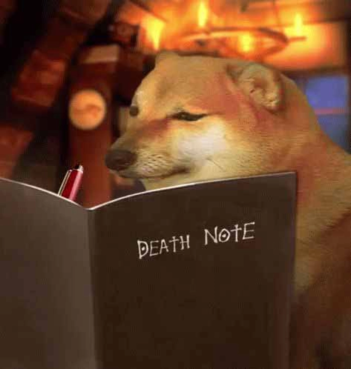 Chú chó Shiba meme hài hước