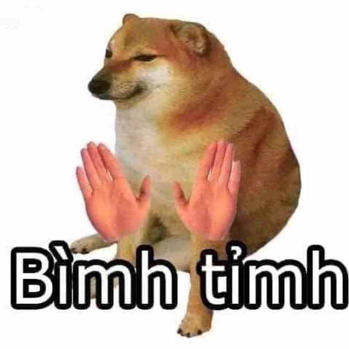 Con chó Shiba meme đáng yêu