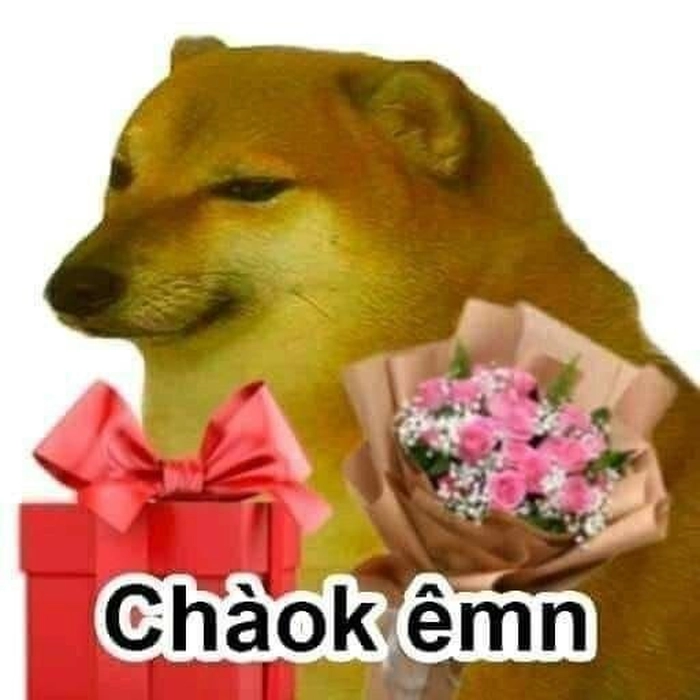 Con chó Shiba meme vui nhộn