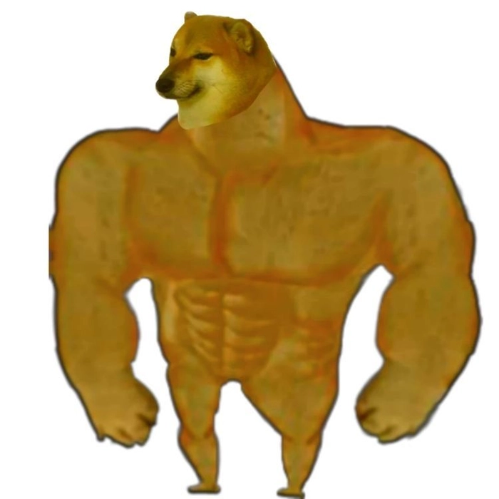 Con chó cơ bắp meme dễ thương