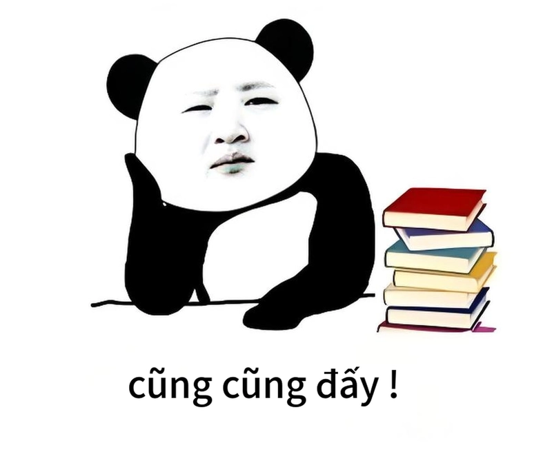 Hình ảnh gấu trúc bất ngờ chế meme