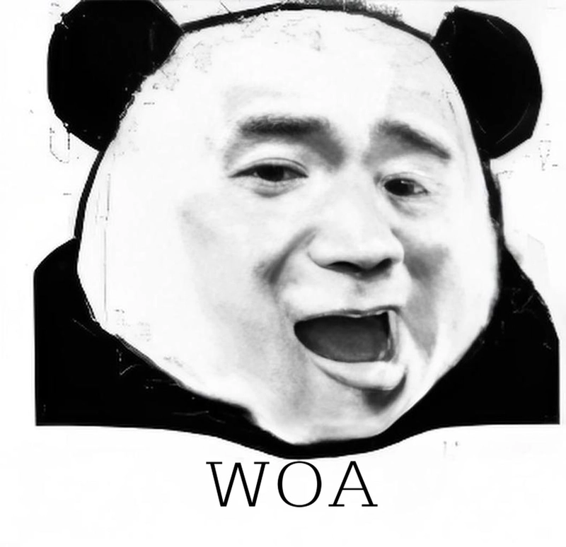 Hình ảnh gấu trúc bất ngờ meme