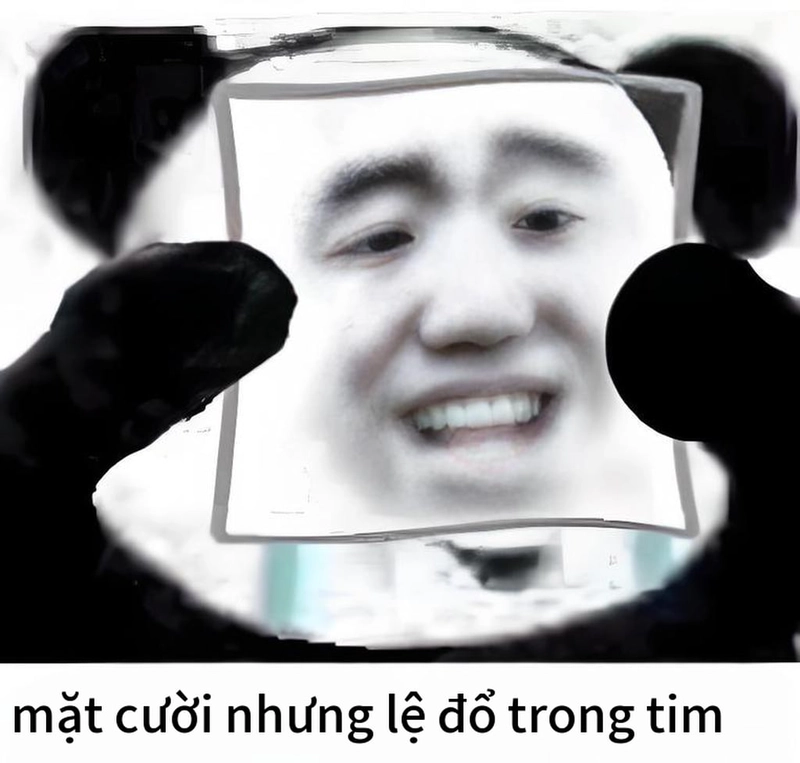 Hình ảnh meme gấu trúc cười bá đạo