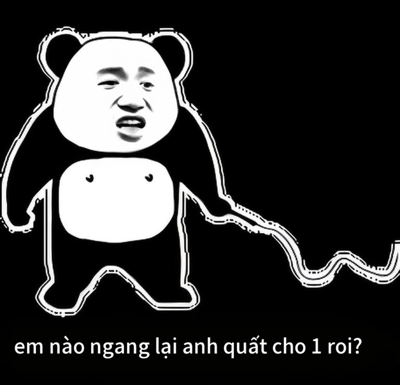 Hình ảnh meme gấu trúc ngang ngược độc đáo