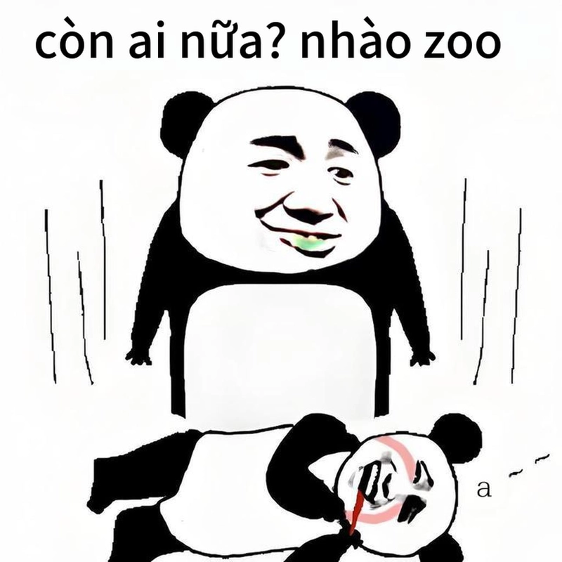 Hình ảnh meme gấu trúc ngang ngược sáng tạo