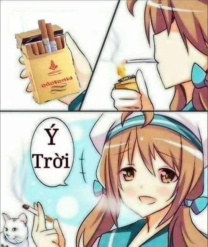 Hình ảnh meme ý trời ấn tượng