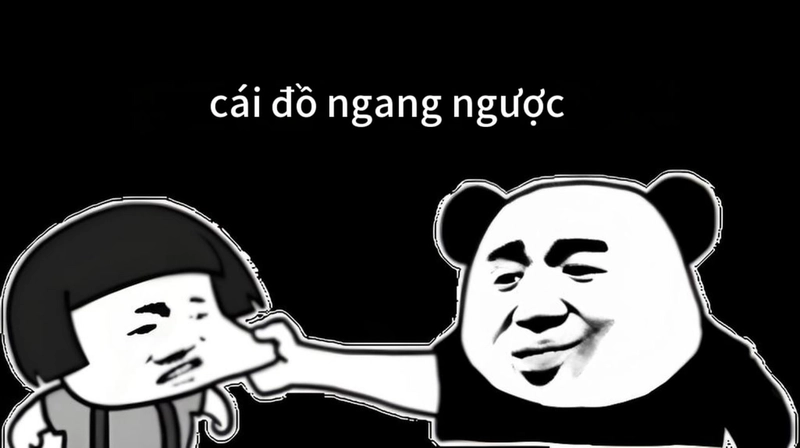 Hình chế meme gấu trúc ngang ngược độc lạ