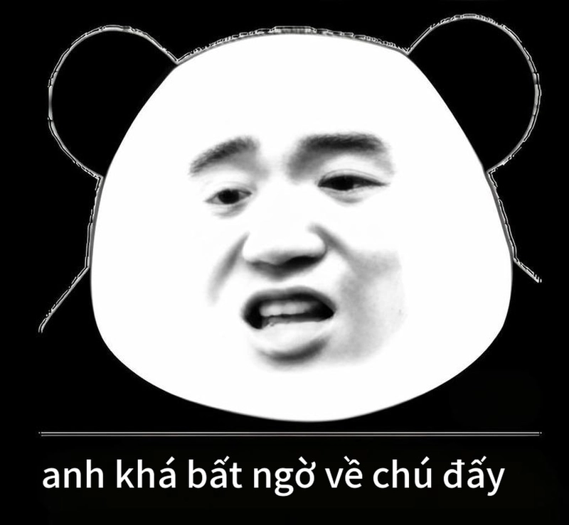 Hình gấu trúc bất ngờ hài khó đỡ