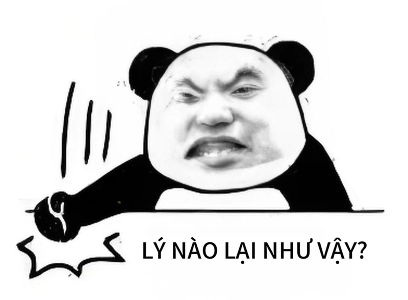 Hình gấu trúc bất ngờ lầy lội meme