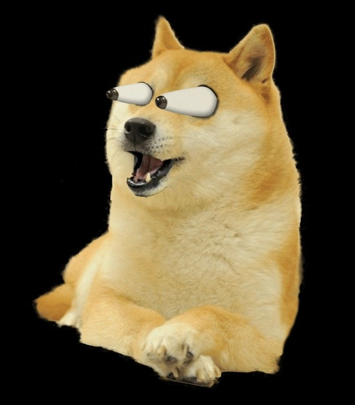 Hình meme chó Shiba cực hài