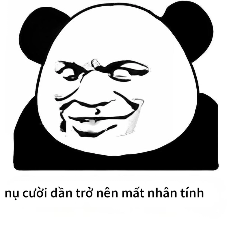 Hình meme gấu trúc cười ngộ nghĩnh