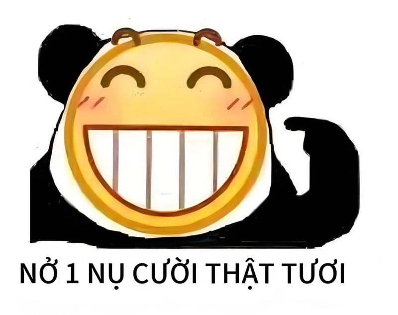 Hình meme gấu trúc cười vui vẻ