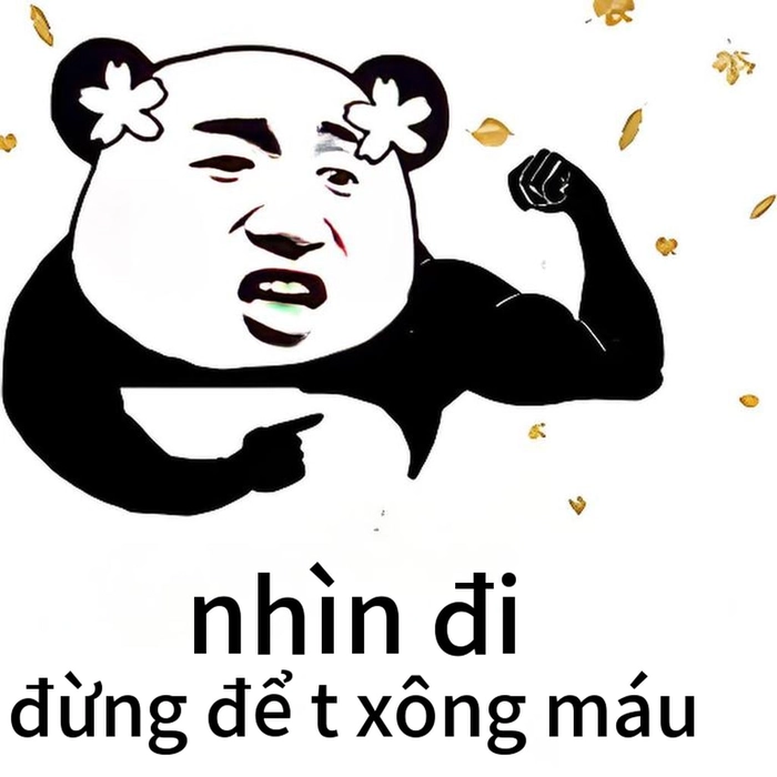 Hình meme gấu trúc dỗi châm biếm