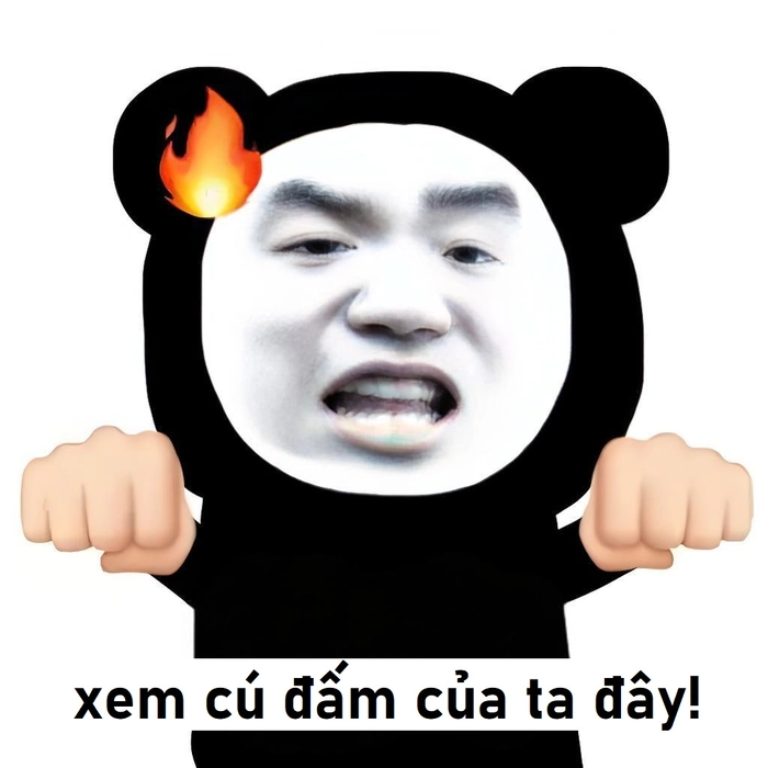 Hình meme gấu trúc dỗi meme chế