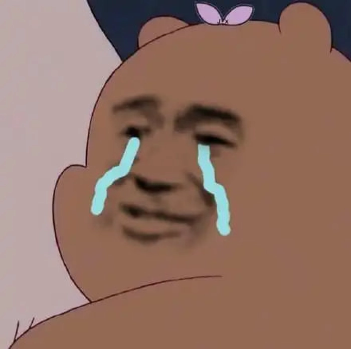 Hình meme gấu trúc khóc troll