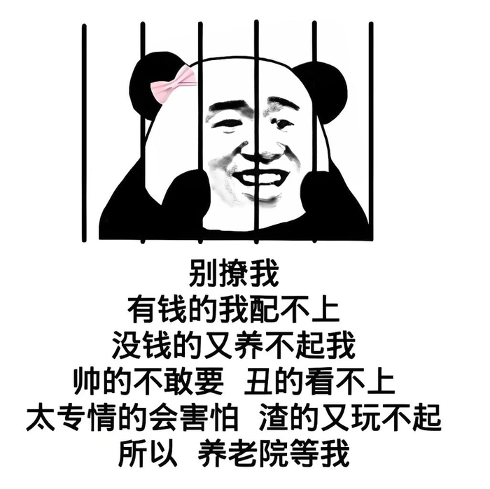 Hình meme gấu trúc tiếng Trung bá đạo