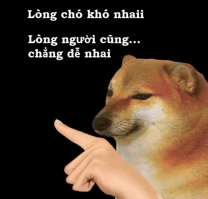 Lòng chó khó nhai lòng người chó nhai ảnh hài