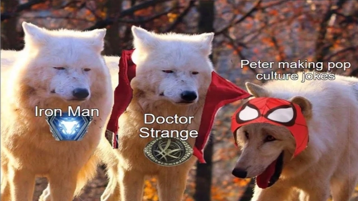Meme 3 con sói biểu cảm hài