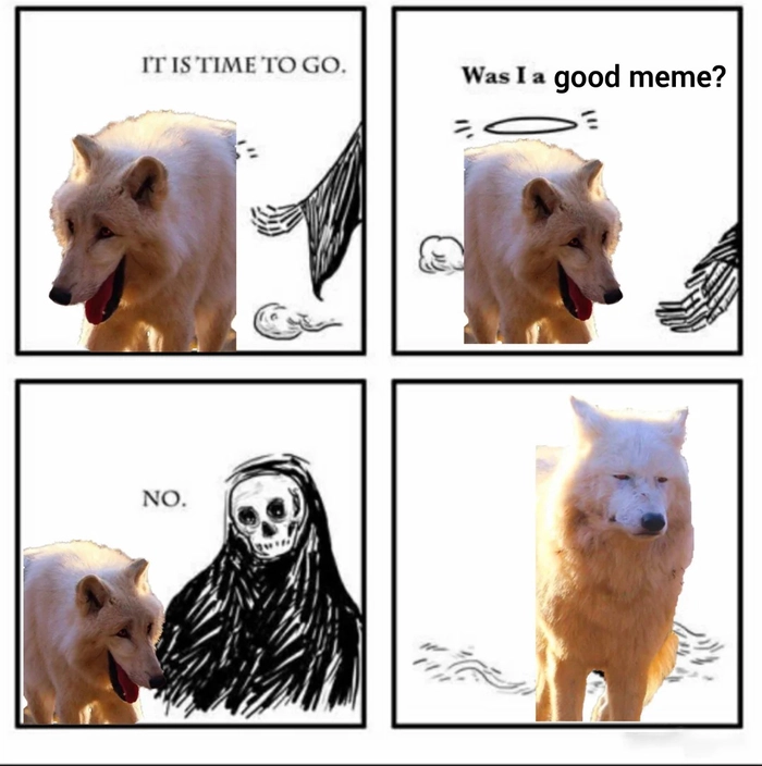 Meme 3 con sói cười vui nhộn