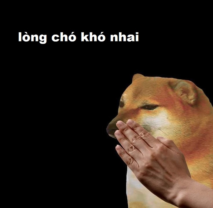 Meme chế lòng chó khó nhai chất lượng