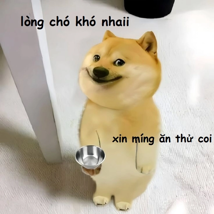 Meme chế lòng chó khó nhai viral