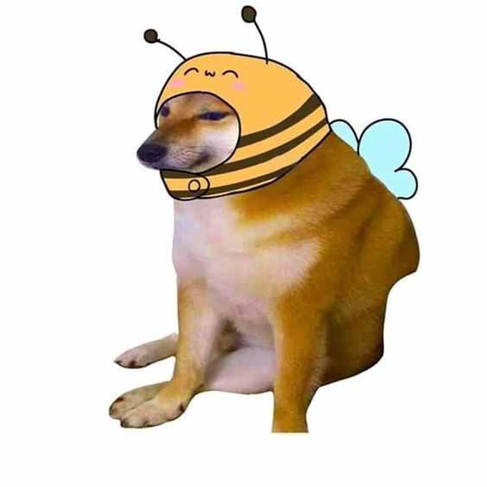 Meme chó Shiba cầm gậy đáng yêu