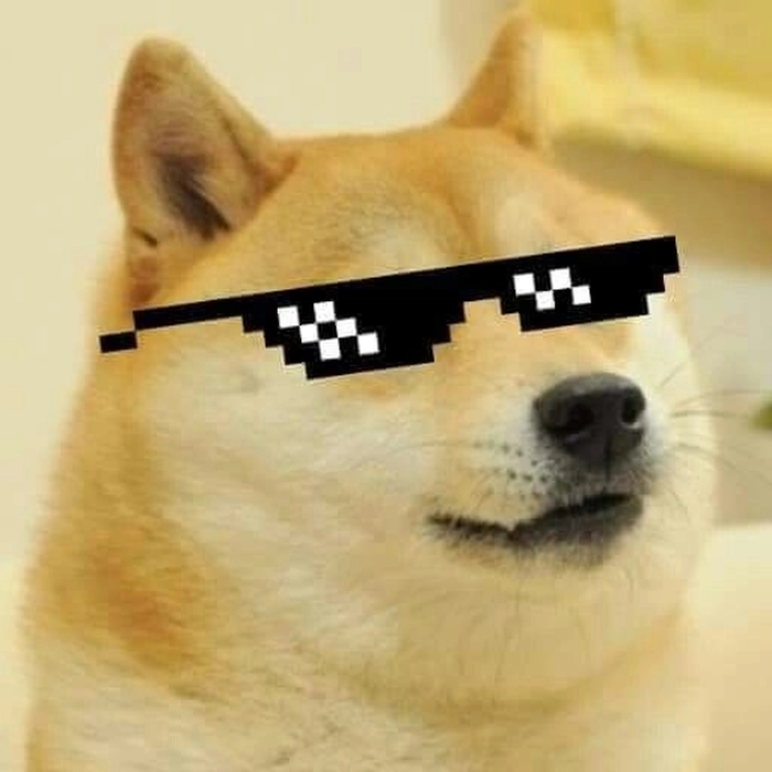 Meme chó Shiba cầm súng vui nhộn