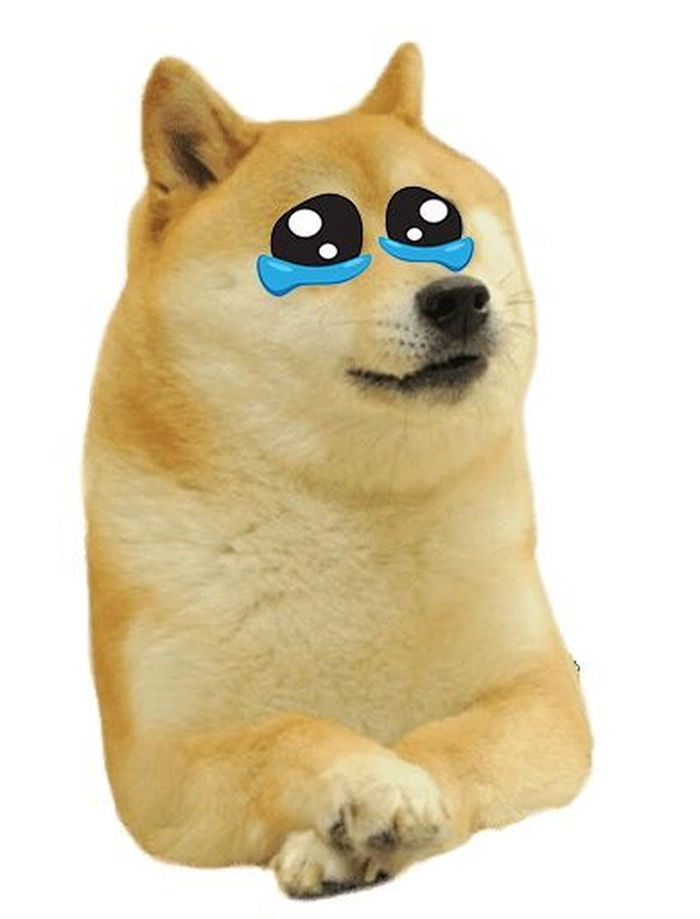 Meme chó Shiba cơ bắp bá đạo