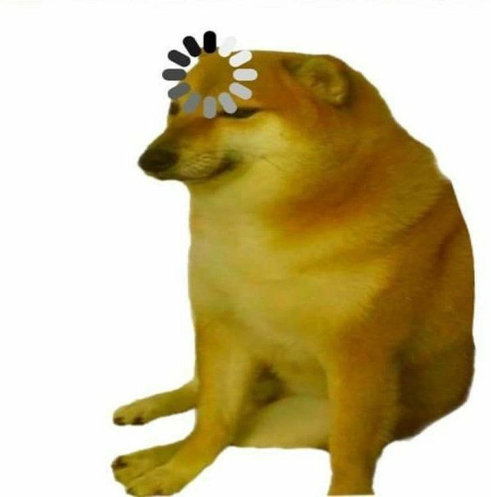 Meme chó Shiba cười lầy lội