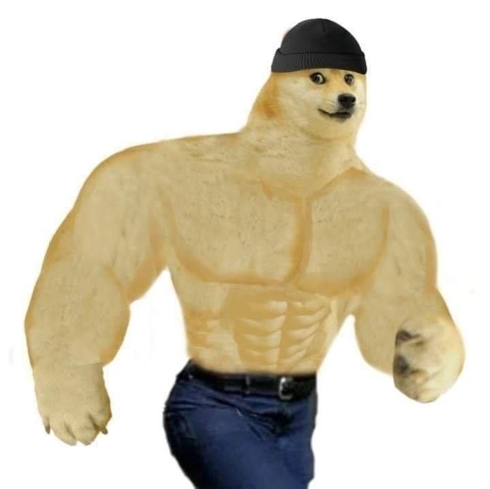 Meme chó cơ bắp chất lừ
