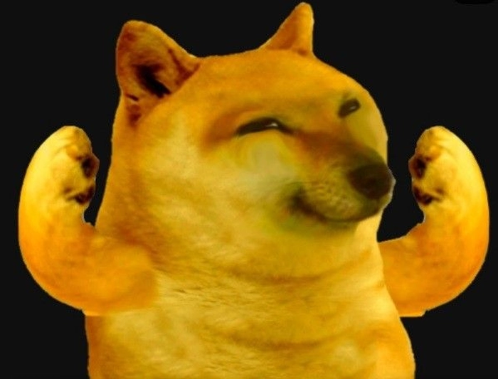 Meme chó cơ bắp hài hước