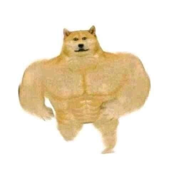 Meme chó cơ bắp mặn mòi