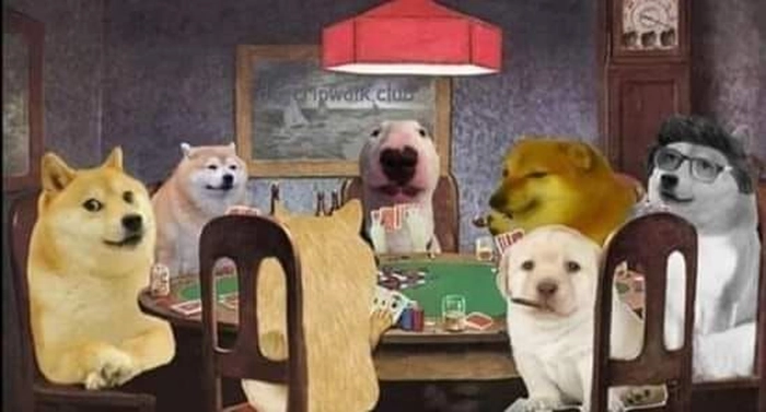 Meme chó mèo hài hước khó đỡ