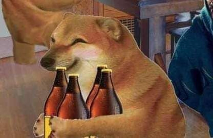Meme chó mèo hài hước vui vẻ