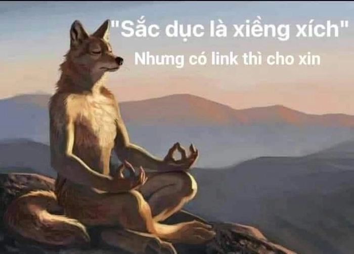 Meme chó sói chế khó đỡ