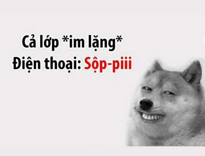 Meme chó sói cười mặn mà