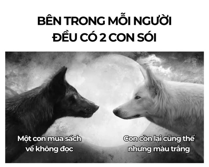 Meme chó sói hài hước