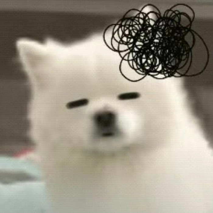 Meme chó trắng ngộ nghĩnh