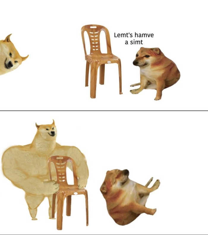 Meme con chó cơ bắp cực hài