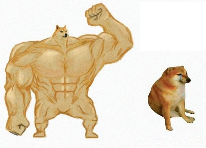 Meme con chó cơ bắp hot trend