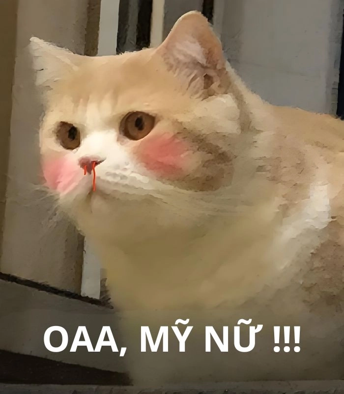 Meme con mèo chảy máu mũi siêu hài
