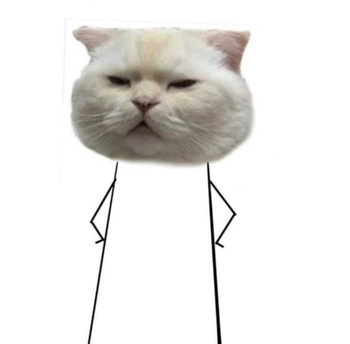 Meme con mèo liếc ngộ nghĩnh