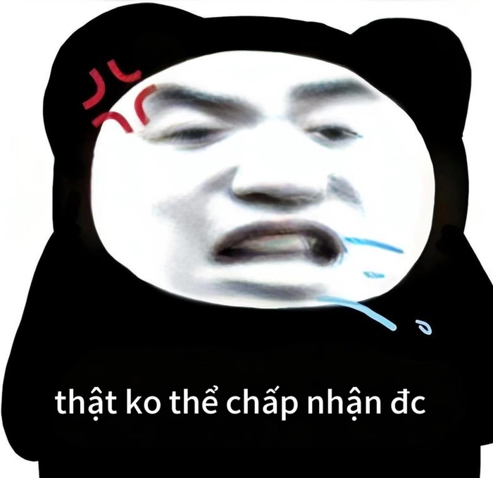 Meme gấu trúc bất lực đáng yêu