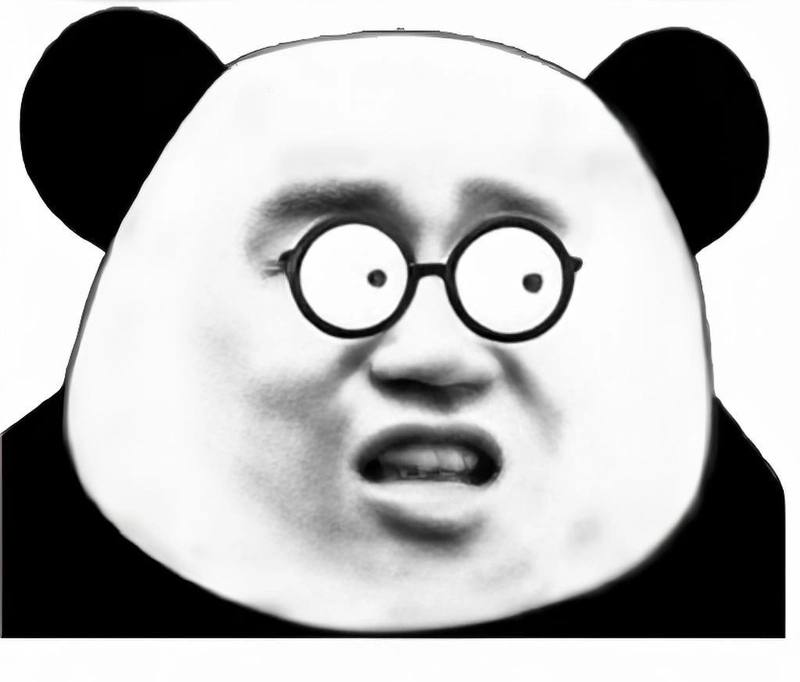 Meme gấu trúc bất ngờ cười xỉu