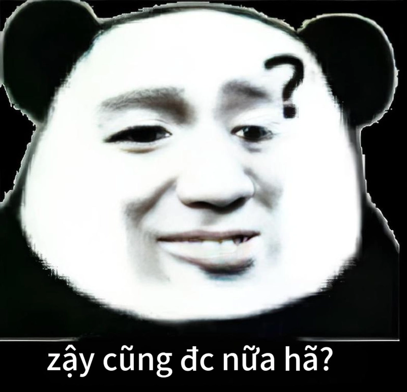 Meme gấu trúc bất ngờ hài hước