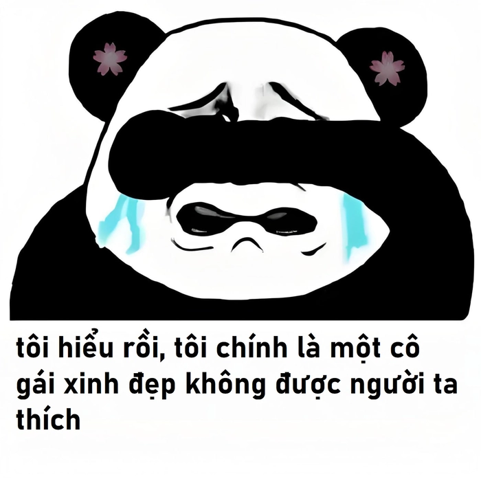 Meme gấu trúc buồn châm biếm