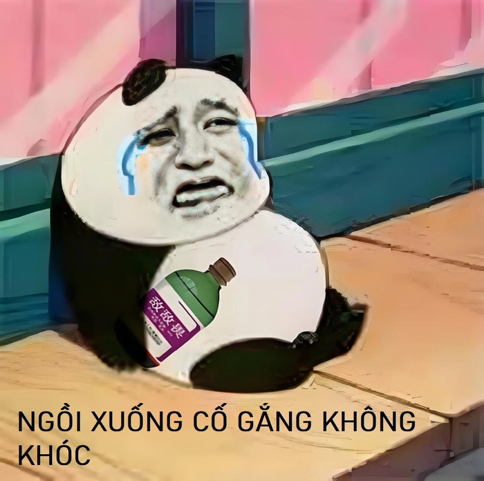 Meme gấu trúc buồn khóc cười