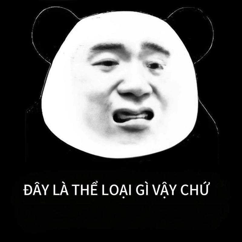 Meme gấu trúc buồn ngủ bá đạo
