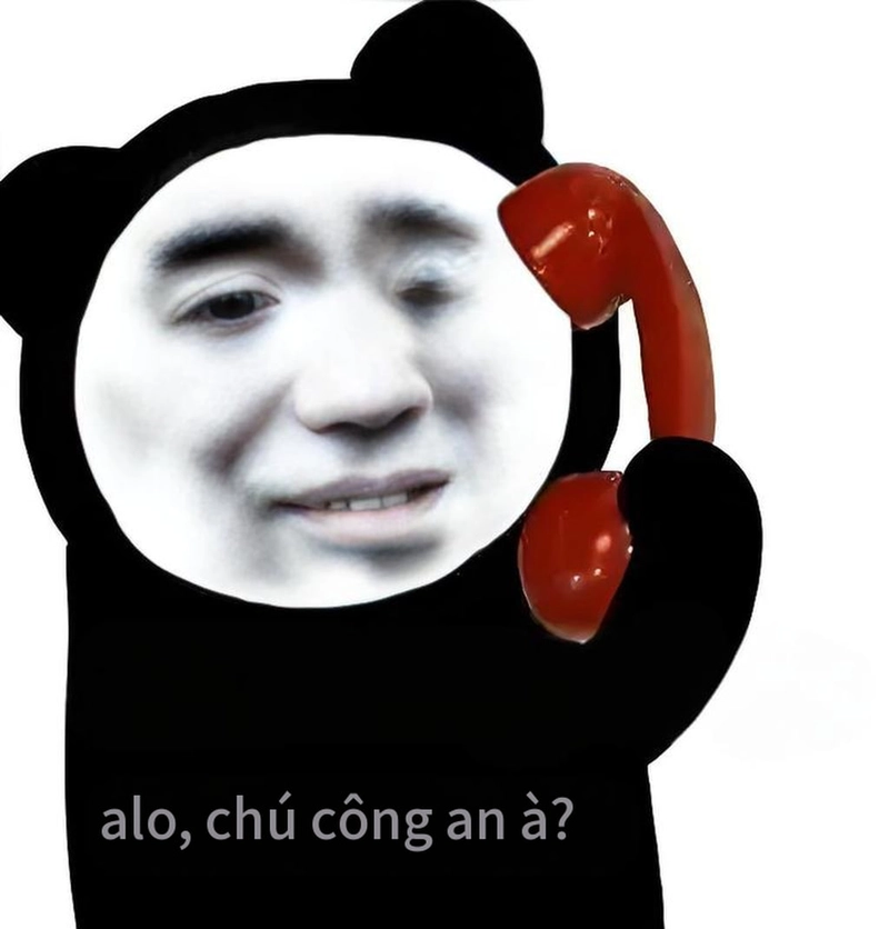 Meme gấu trúc buồn ngủ chế hài
